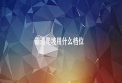 霸道爬坡用什么档位 获得最佳爬坡效果