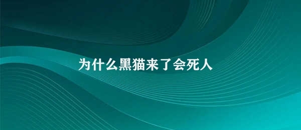 为什么黑猫来了会死人（黑猫来了的恐怖之源）