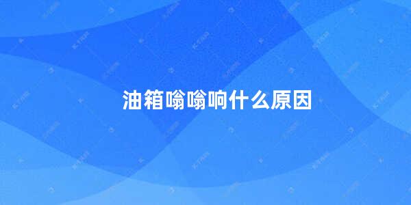 油箱嗡嗡响什么原因