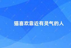 猫喜欢靠近有灵气的人（猫咪为什么喜欢靠近有灵气的人）