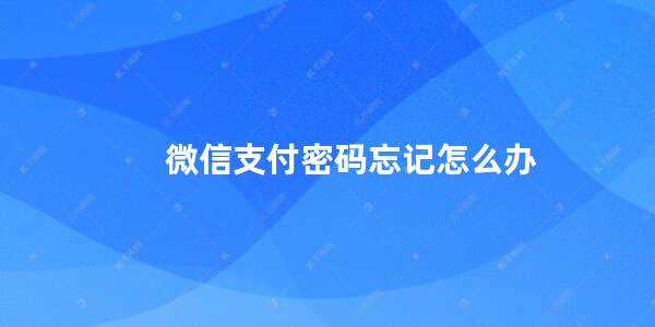 微信支付密码忘记怎么办