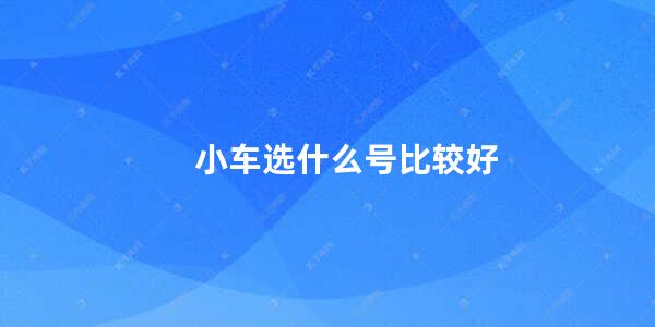 小车选什么号比较好