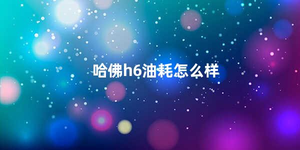 哈佛h6油耗怎么样