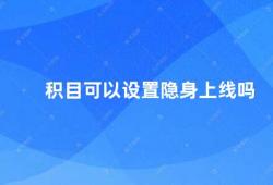 积目可以设置隐身上线吗（积目隐身上线功能介绍）