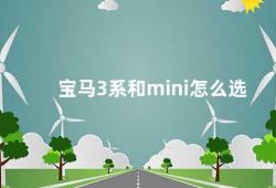 宝马3系和mini怎么选（如何选择适合自己的车型宝马3系和mini）