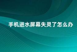 手机进水屏幕失灵了怎么办（手机进水屏幕失灵别急试试这些方法）