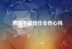 男生不被信任会伤心吗（男生的信任感很重要）