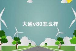 大通v80怎么样（大通v80商务接待好帮手）