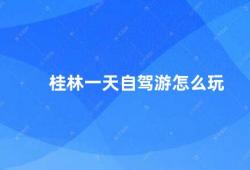 桂林一天自驾游怎么玩（桂林一日自驾游攻略）