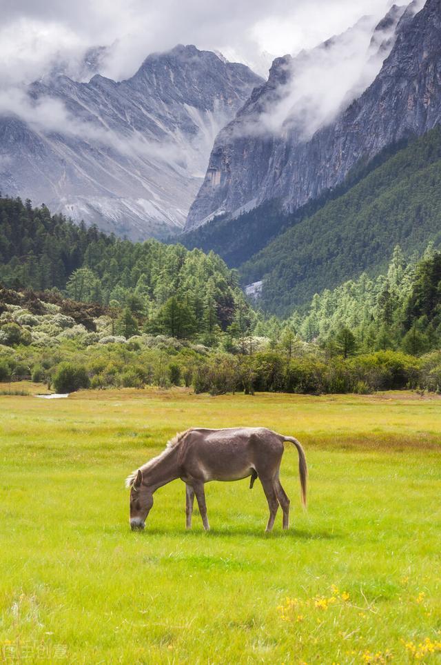 最值得去的旅游景点（盘点中国此生必去的66处风景）