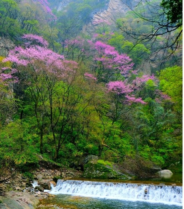 西安周边旅游景点大全介绍（西安周边踏青好去处推荐）