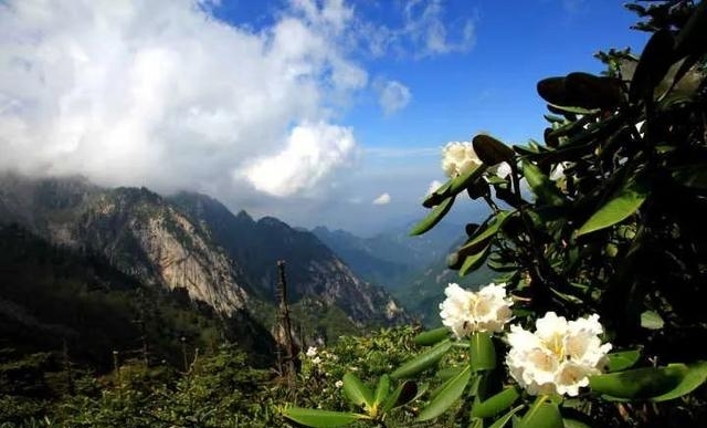 西安周边旅游景点大全介绍（西安周边踏青好去处推荐）