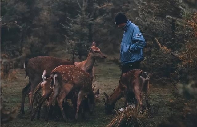 兰州周边旅游景点大全（兰州周边20个自驾好去处）