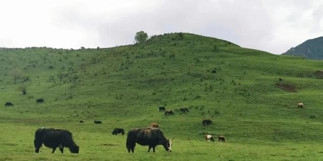 兰州周边旅游景点大全（兰州周边20个自驾好去处）