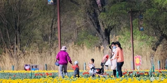 兰州周边旅游景点大全（兰州周边20个自驾好去处）