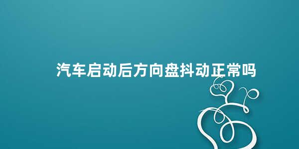 汽车启动后方向盘抖动正常吗