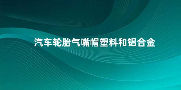 汽车轮胎气嘴帽塑料和铝合金