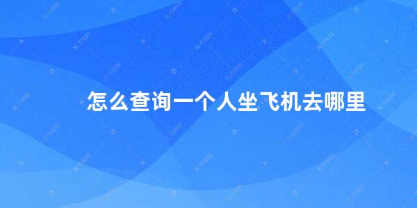 怎么查询一个人坐飞机去哪里