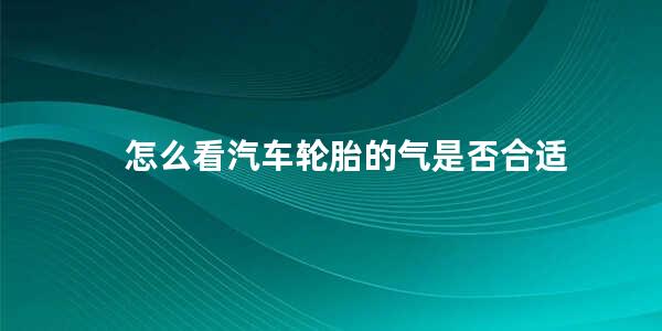 怎么看汽车轮胎的气是否合适