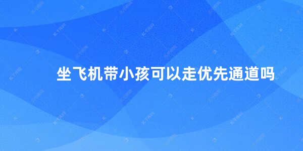 坐飞机带小孩可以走优先通道吗