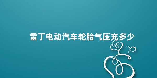 雷丁电动汽车轮胎气压充多少