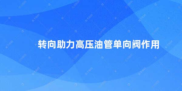 转向助力高压油管单向阀作用