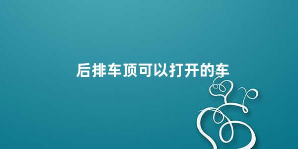 后排车顶可以打开的车