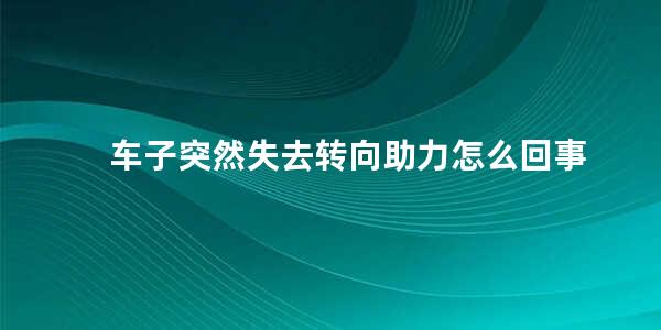 车子突然失去转向助力怎么回事