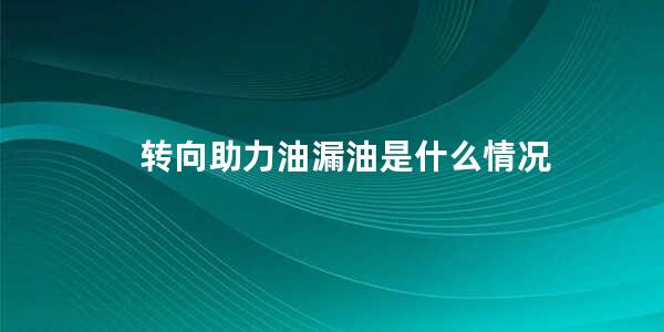 转向助力油漏油是什么情况