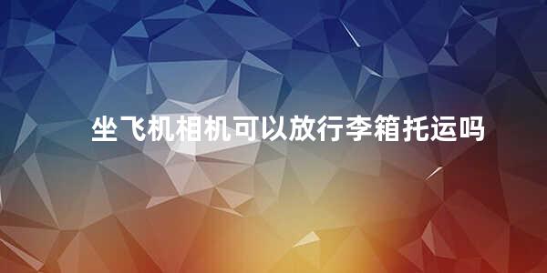 坐飞机相机可以放行李箱托运吗