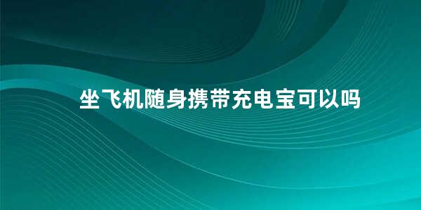 坐飞机随身携带充电宝可以吗