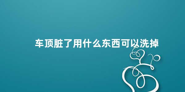 车顶脏了用什么东西可以洗掉