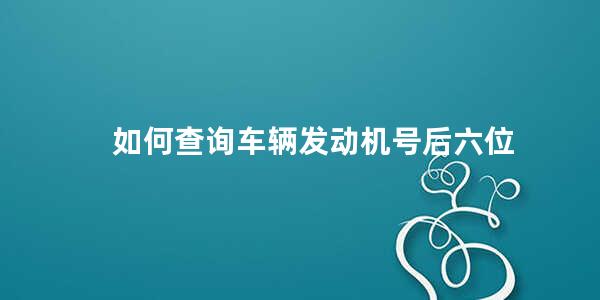 如何查询车辆发动机号后六位