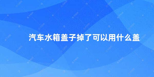 汽车水箱盖子掉了可以用什么盖