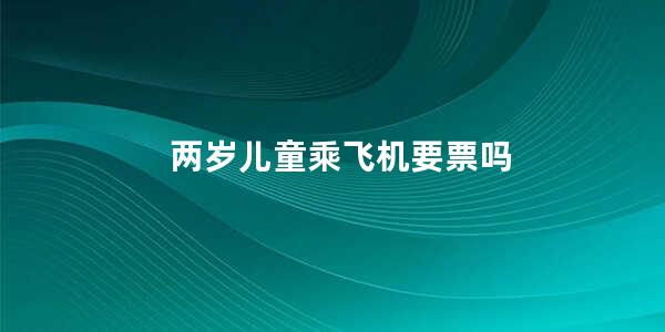 两岁儿童乘飞机要票吗