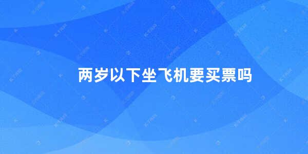 两岁以下坐飞机要买票吗