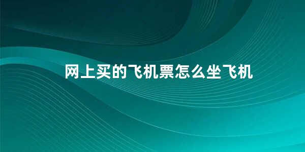 网上买的飞机票怎么坐飞机