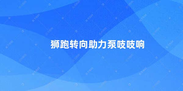 狮跑转向助力泵吱吱响