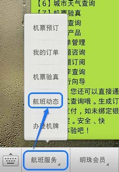 怎么可以查到与我同坐一班飞机的人(如何查看自己坐的火车到哪了)