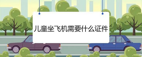 4岁小孩坐飞机需要带什么证件和手续(4岁小孩乘坐飞机需要什么证件)