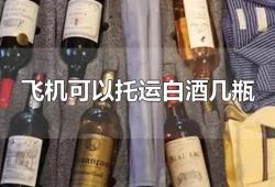 飞机上能带两瓶白酒吗(坐飞机可以带上两瓶酒吗现在)